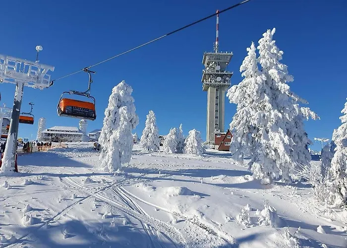 Chata Ski Loučná pod Klínovcem
